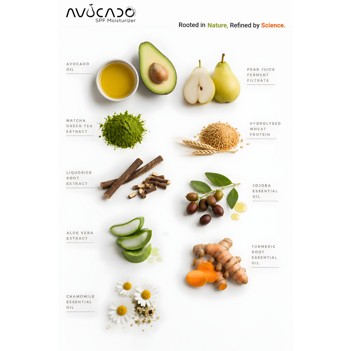 AVOCADO - New Moisturizer with SPF | Matmarine™ | Vitamin C | Pro Vitamin B5 | Peptides & Ceramides NP | Pro Vitamin B3 | Brightening | UV | Reduces Acne Breakouts | Barrier Repair | Sebum/ Oil Reduction | Non Greasy | Velvet Mattifying Finish.
