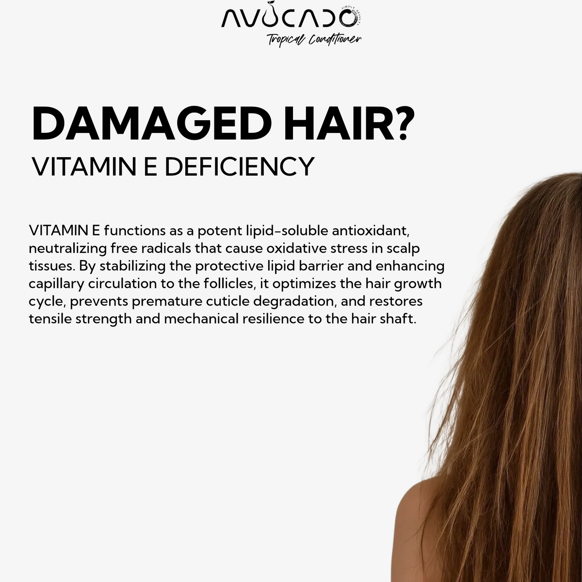 AVOCADO - Hydrate & Repair | Hydrolyzed Keratin Nano Peptide | Silky & Frizz free upto 120 Hours | Vitamin E | Almond Oil | Black Seed Oil | Coconut oil | For All Hair Type | Tropical Strength Hair Conditioner | SULPHATE & PARABEN FREE | 300 ml