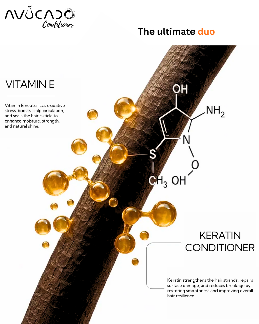 AVOCADO - Hydrate & Repair | Hydrolyzed Keratin Nano Peptide | Silky & Frizz free upto 120 Hours | Vitamin E | Almond Oil | Black Seed Oil | Coconut oil | For All Hair Type | Tropical Strength Hair Conditioner | SULPHATE & PARABEN FREE | 300 ml